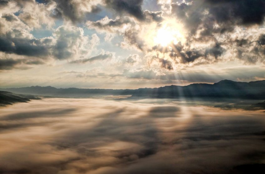  Mom in the Ever After